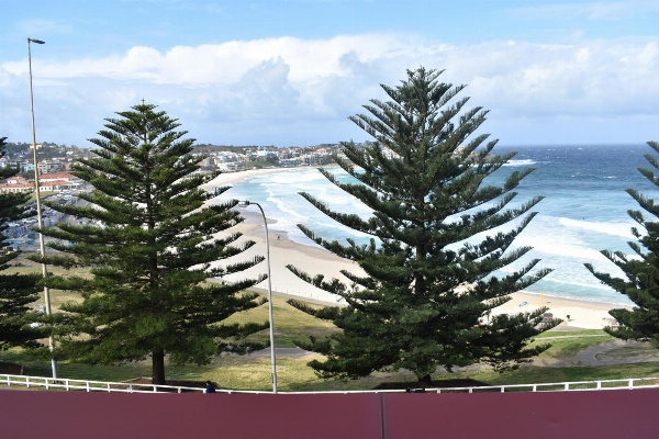 Bondi 38 Serviced Apartments image 3