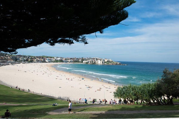 Bondi 38 Serviced Apartments image 5